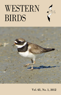 Cover image V43(1)