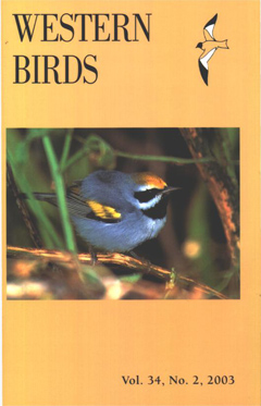 Cover image V34 (2)