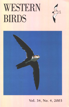 Cover image V34 (4)