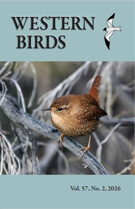 Front cover photo by © Chezy Yusuf of Torrance, California: Winter Wren  (Troglodytes hiemalis) at Castaic Lagoon, Los Angeles Co., California, 6  January 2024.