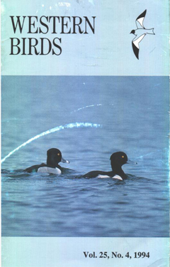 Cover image V25 (4)