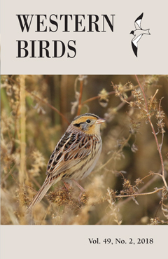 Cover image V49(2)