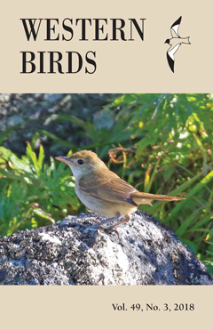 Cover image V49(3)
