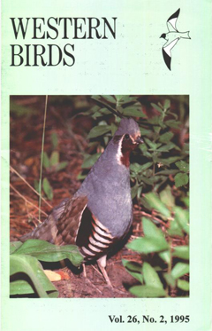 Cover image V26 (2)