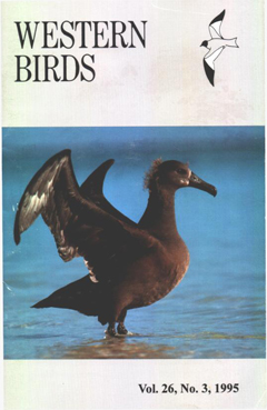 Cover image V26 (3)