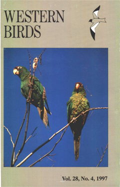 Cover image V28 (4)