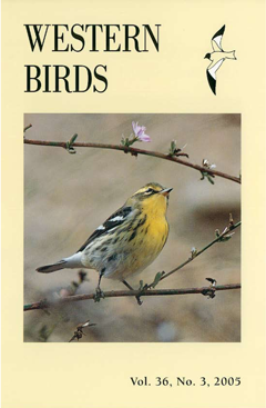 Cover image V36(3)