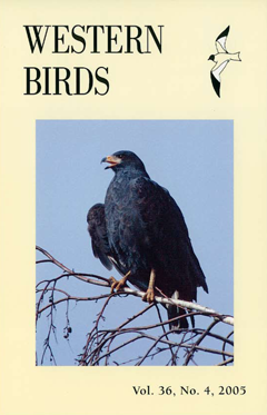 Cover image V36(4)