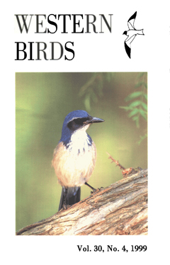 Cover image V30 (4)