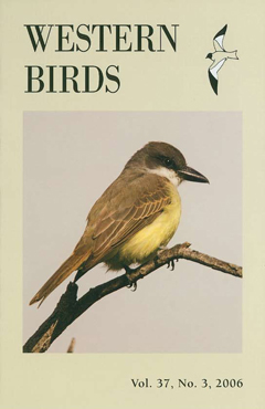 Cover image V37(3)
