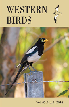 Cover image V45(2)