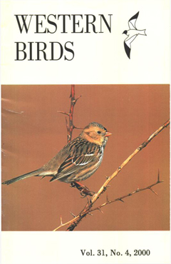 Cover image V31 (4)