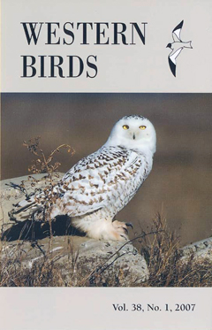 Cover image V38(1)