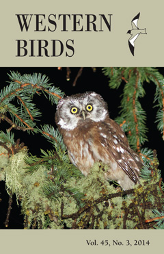 Cover image V45(3)