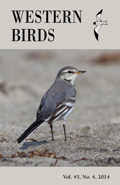 Cover image V45(4)