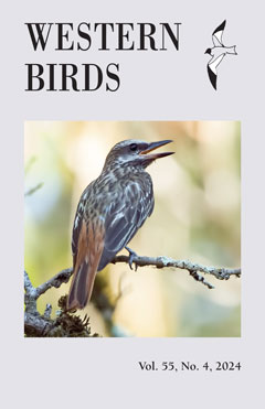 Cover image V55(4)