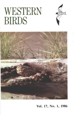 Cover image V17 (1)