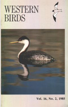 Cover image V16 (2)