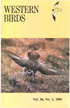 Cover image V20(2)