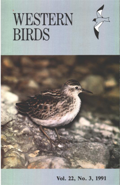 Cover image V22(3)