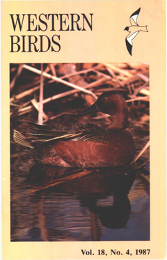 Cover image V18 (4)