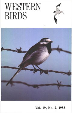 Cover image V19 (2)