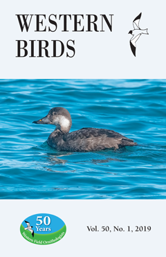 Cover image V50(1)
