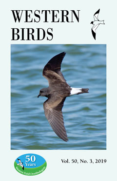 Cover image V50(3)