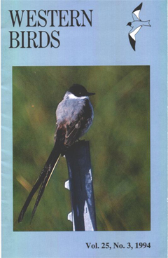Cover image V25 (3)