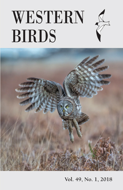 Cover image V49(1)