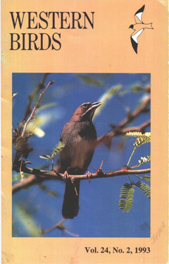 Cover image V24(2)